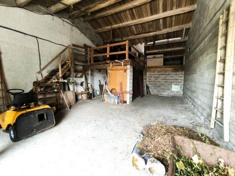photo no. 8