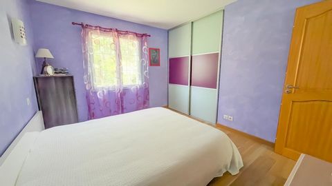 photo no. 12