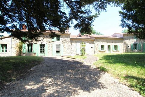 photo no. 10