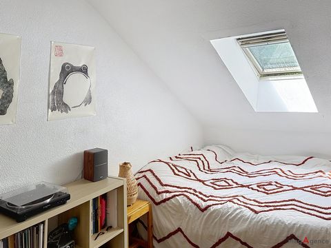 photo no. 8