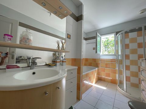 photo no. 7