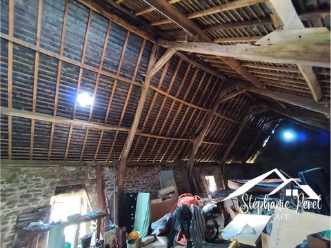 photo no. 6