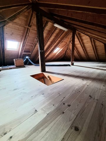 photo no. 19