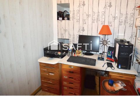 photo no. 11