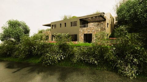 photo no. 3