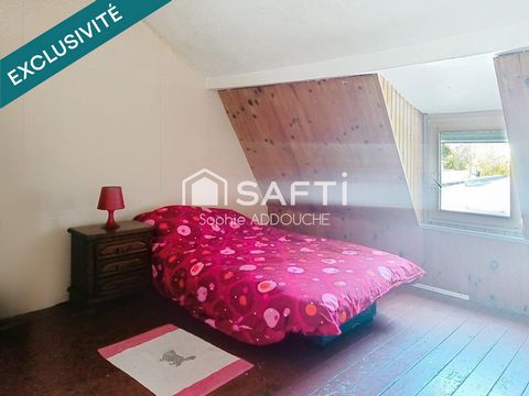 photo no. 10