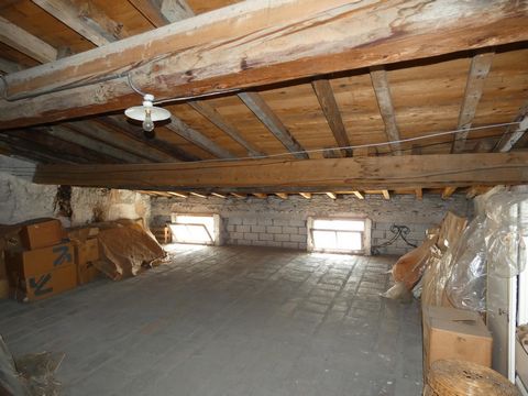 photo no. 12