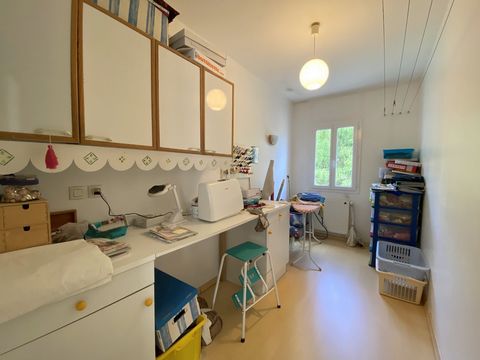 photo no. 16