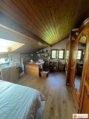 photo no. 15