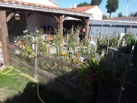 photo no. 18