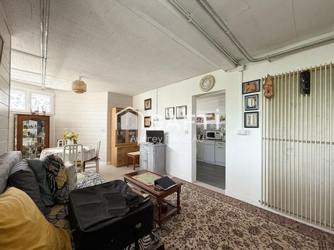 photo no. 8