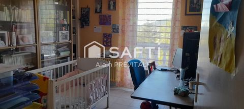 photo no. 5