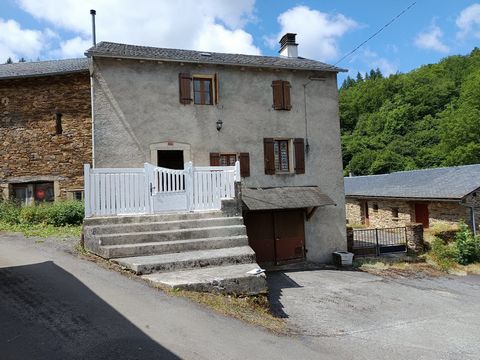 photo no. 9
