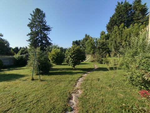 photo no. 12