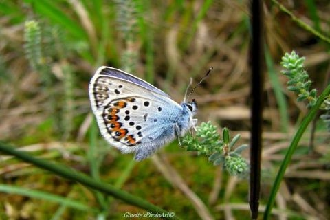 In hartje Giethoorn vind je deze prachtige, gerenoveerde groepswoning met een terras aan het water, een tuin, een recreatieruimte en een rolstoeltoegankelijke benedenverdieping. Een unieke plek voor een heerlijke vakantie met vrienden en/of familie. ...
