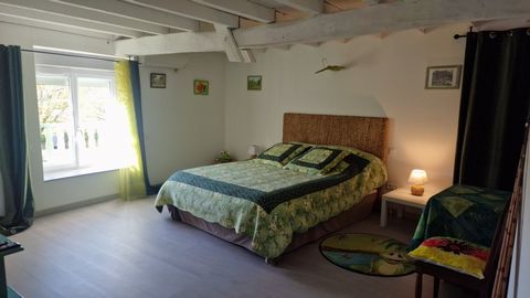 photo no. 10