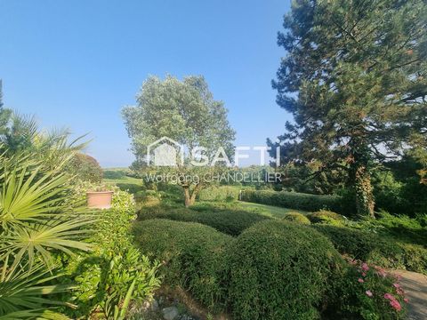 photo no. 10