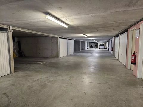 photo no. 19