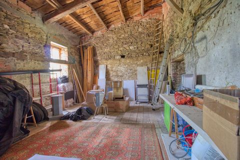 photo no. 10