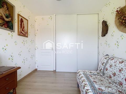 photo no. 11
