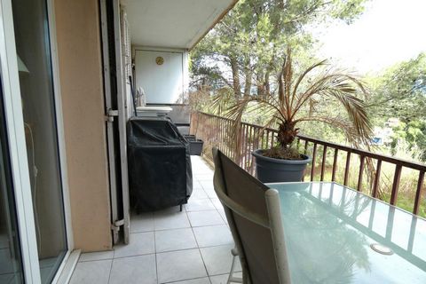photo no. 3