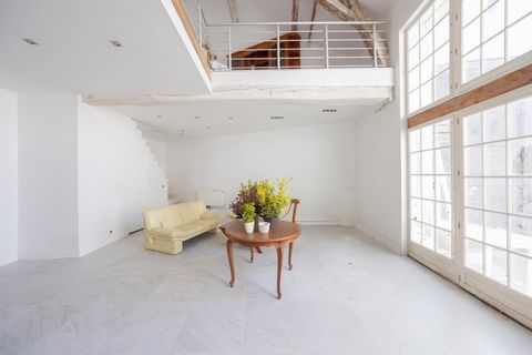photo no. 11