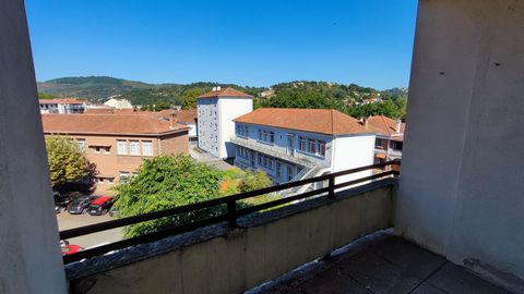 photo no. 9