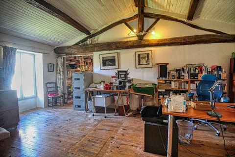 photo no. 14