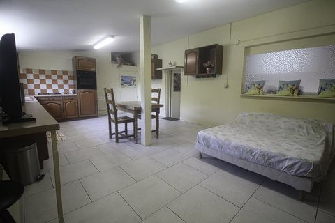 photo no. 9