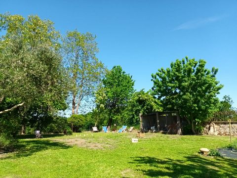 photo no. 16