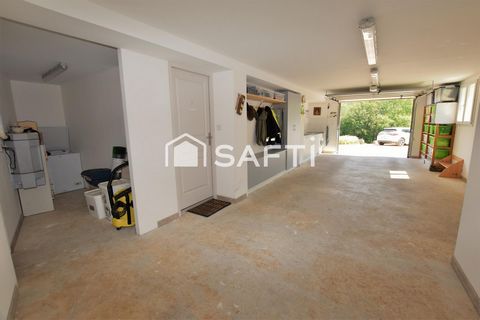 photo no. 11