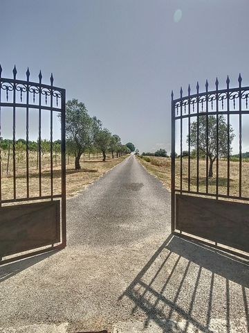 photo no. 3