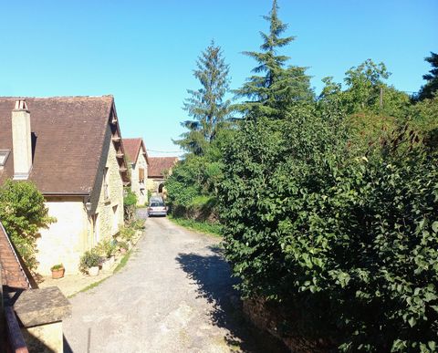 photo no. 23