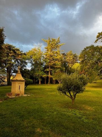 photo no. 18
