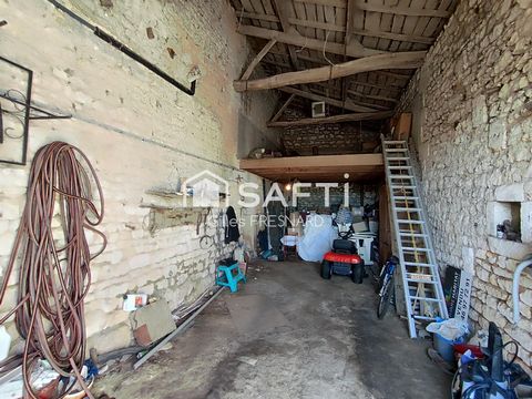 photo no. 14