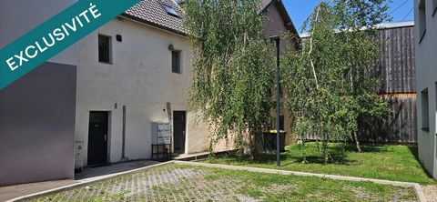 photo no. 9