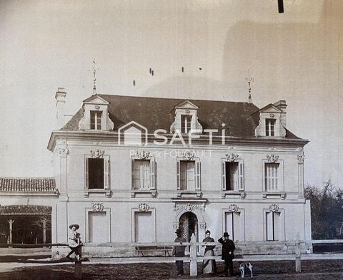 photo no. 11