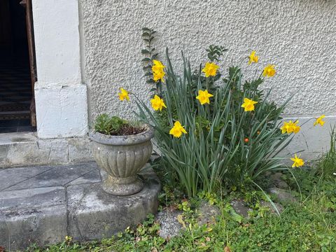 photo no. 2