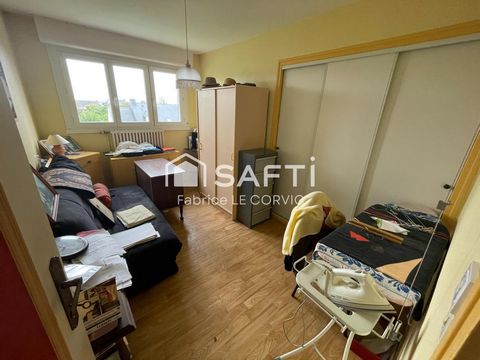 photo no. 11