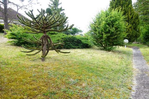 photo no. 17