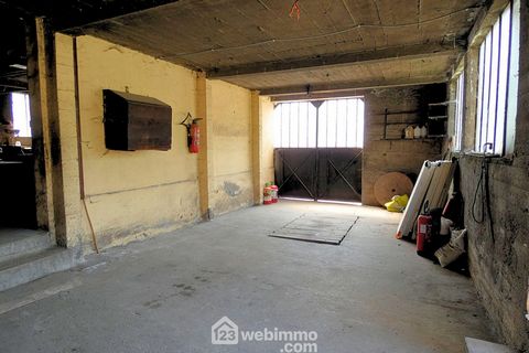 photo no. 11
