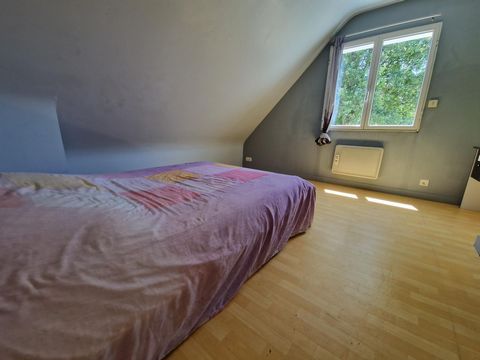 photo no. 11