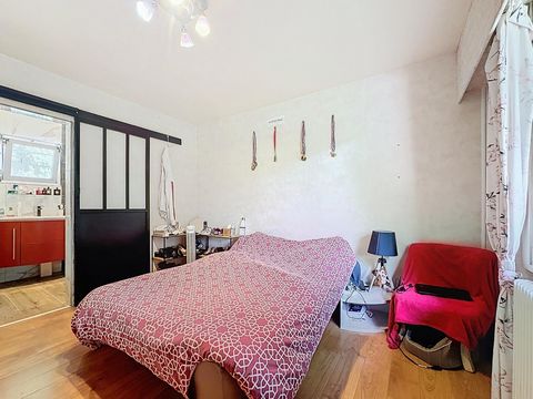 photo no. 7