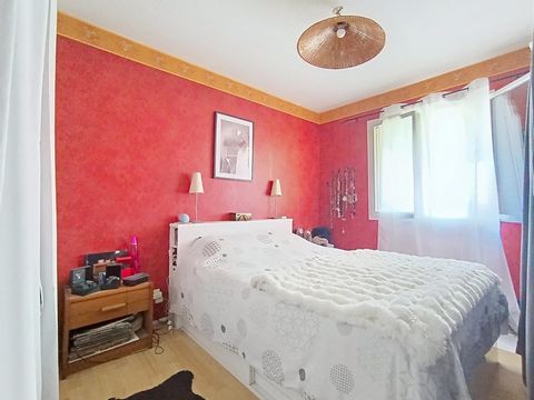 photo no. 11