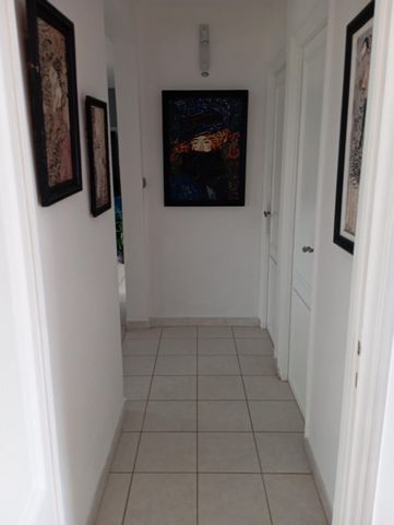 photo no. 8