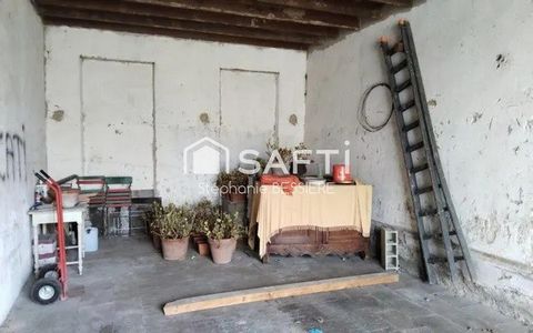 photo no. 17