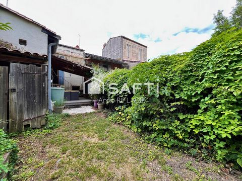 photo no. 11