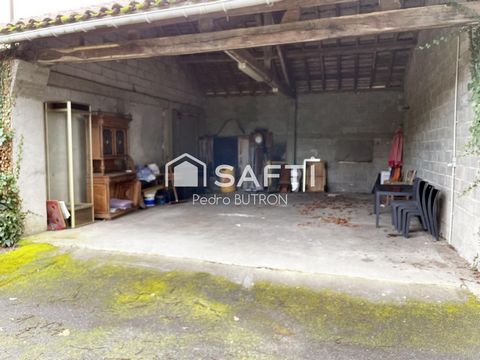 photo no. 11