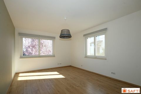 photo no. 4