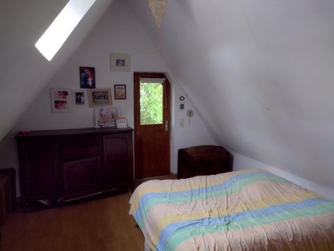 photo no. 8